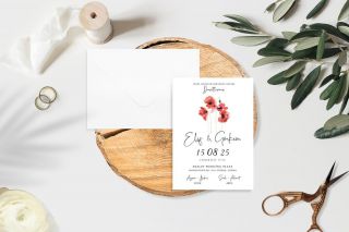 Carmen Eko Davetiye 6273