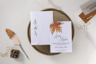 İklim Davetiye 10636